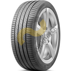 Delinte DS2 Run Flat 225/50 R18 95W