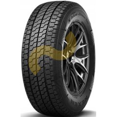 Nexen N'Blue 4 Season Van