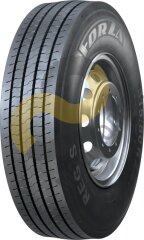 Forza Reg S