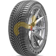 Maxxis WP6 Premitra Snow 255/40 R19 100W 