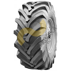 Алтайшина ИЯВ-79