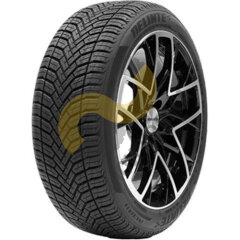 Delinte AW6 